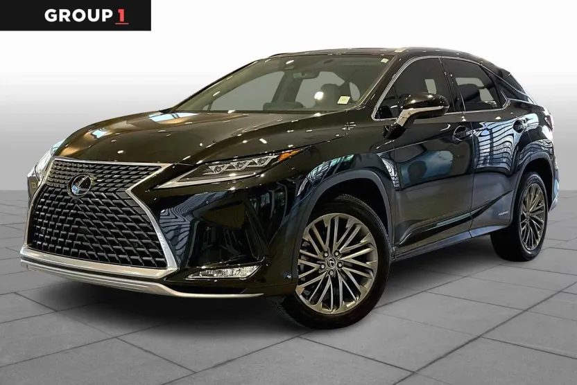 2022 Lexus RX Luxury photo 1