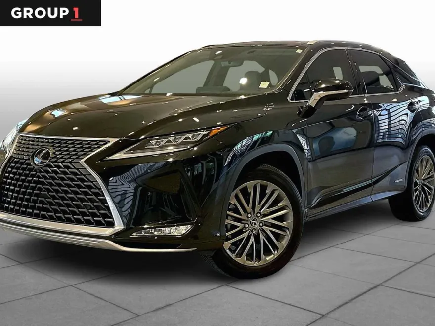 2022 Lexus RX Luxury photo 1