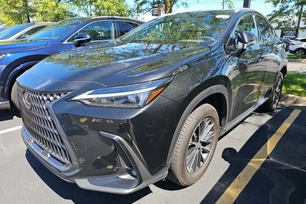2024 Lexus NX 350h photo 1