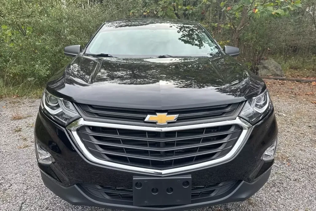 2020 Chevrolet Equinox LS photo 1