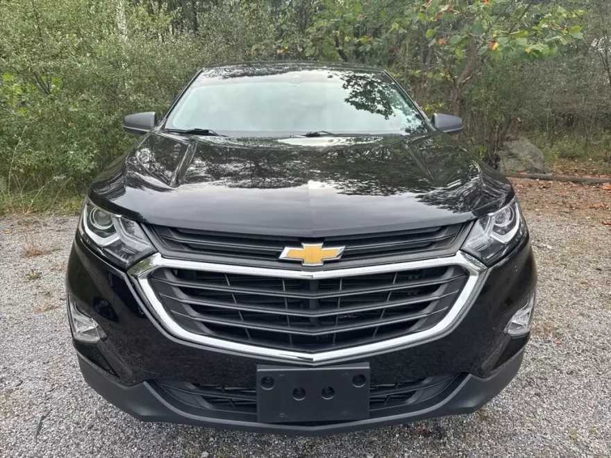 2020 Chevrolet Equinox LS photo 1