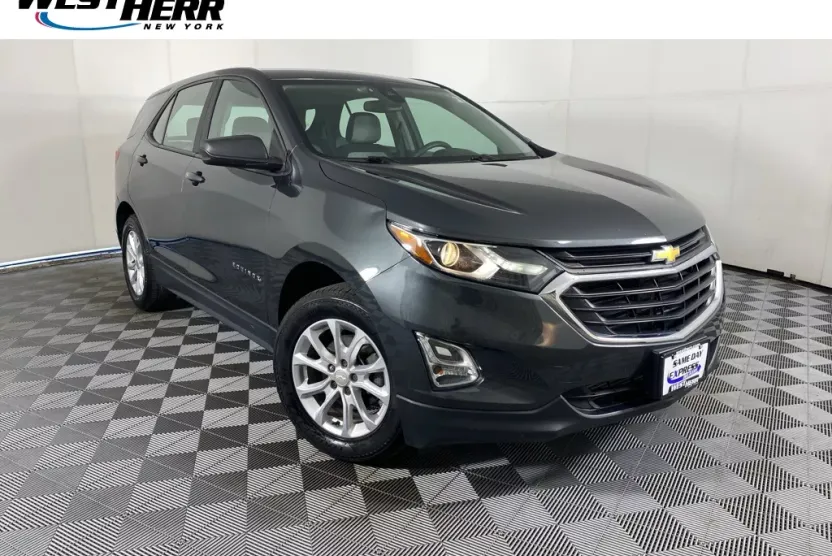 2020 Chevrolet Equinox LS photo 1