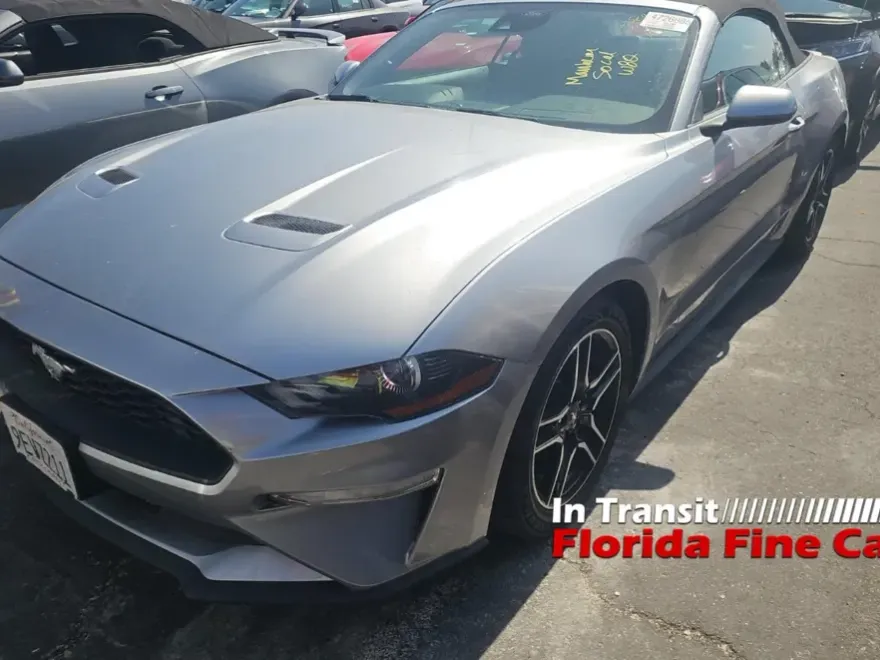 2023 Ford Mustang EcoBoost Premium photo 1