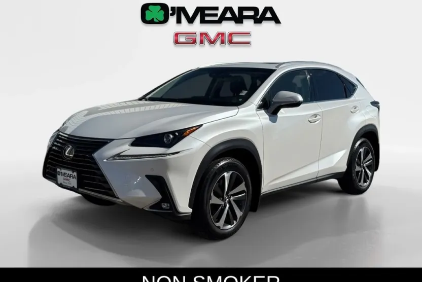 2019 Lexus NX 300 Luxury photo 1