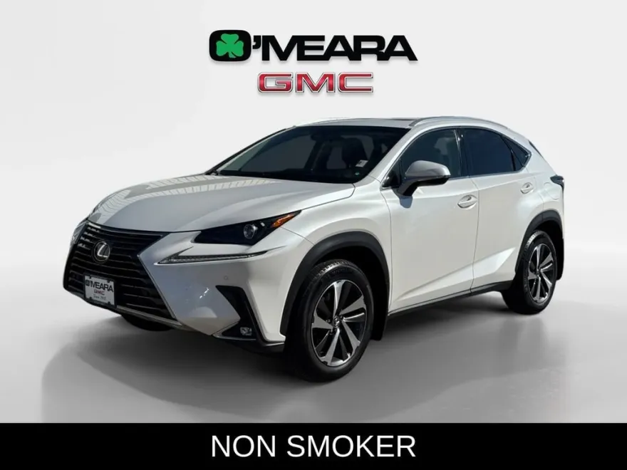 2019 Lexus NX 300 Luxury photo 1