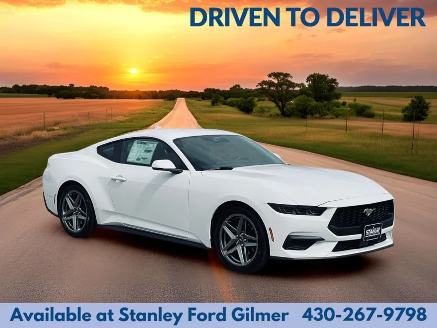 2025 Ford Mustang EcoBoost Premium photo 1