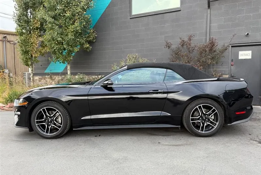 2022 Ford Mustang EcoBoost Premium photo 1