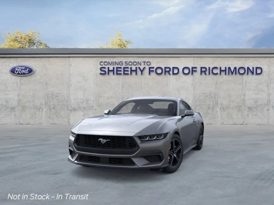 2025 Ford Mustang EcoBoost photo 1
