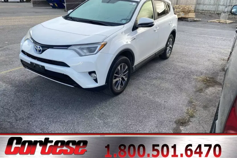 2016 Toyota RAV4 XLE photo 1