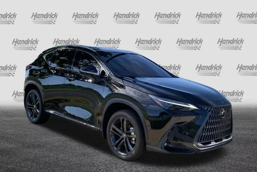 2025 Lexus NX Luxury photo 1