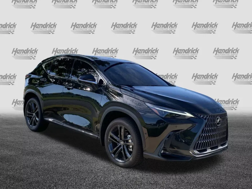 2025 Lexus NX Luxury photo 1