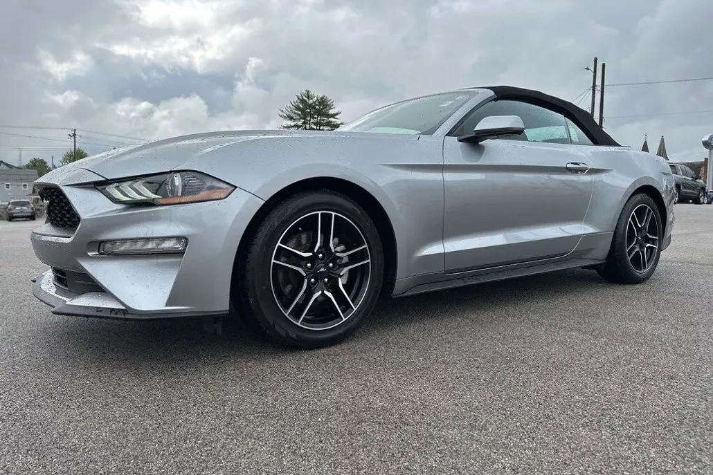 2023 Ford Mustang EcoBoost Premium Convertible photo 1