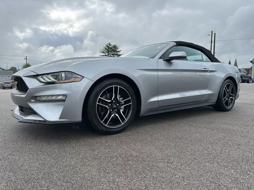 2023 Ford Mustang EcoBoost Premium Convertible photo 1