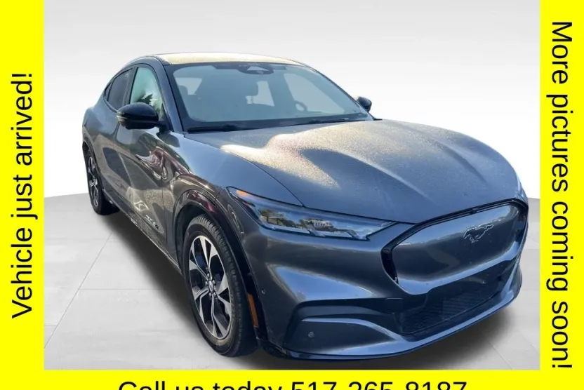 2021 Ford Mustang Mach-E Premium photo 1