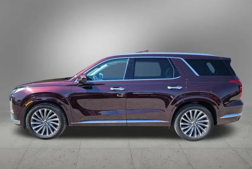 2024 Hyundai Palisade Calligraphy photo 1