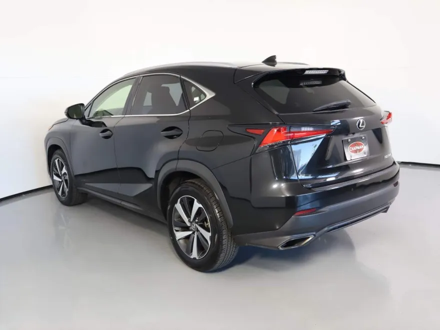 2019 Lexus NX 300 Luxury photo 1