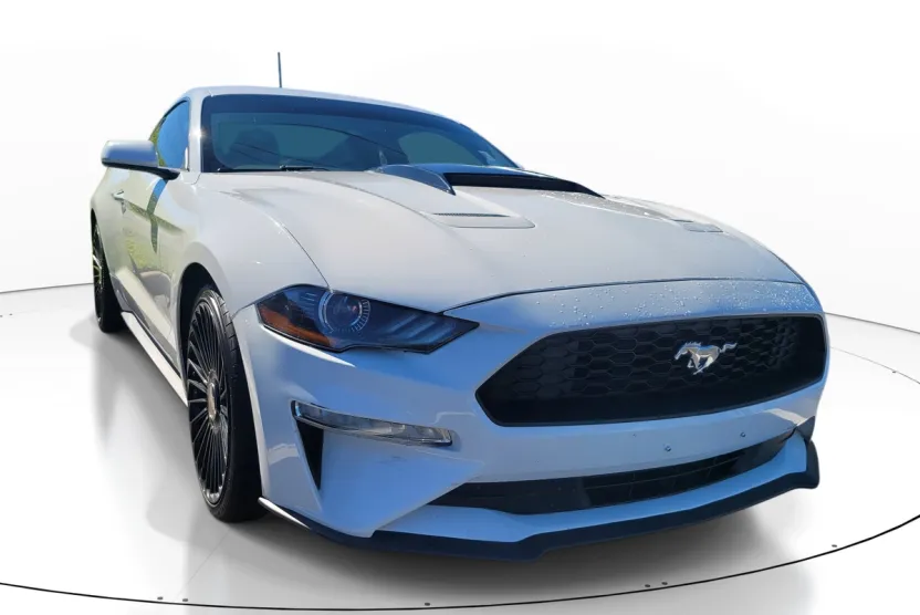 2019 Ford Mustang EcoBoost photo 1