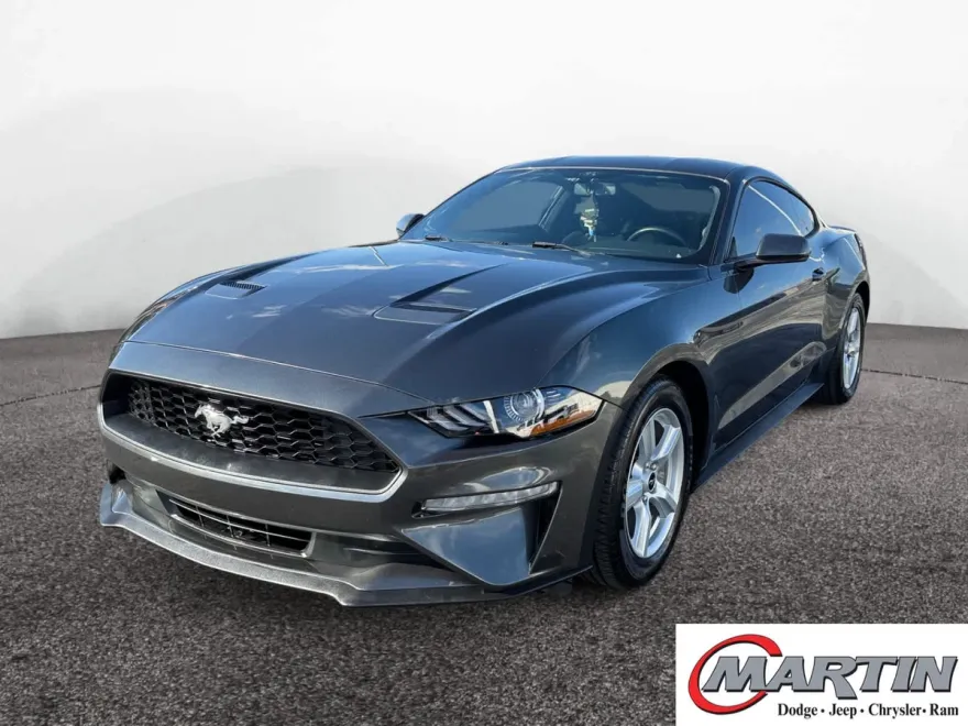 2019 Ford Mustang EcoBoost photo 1