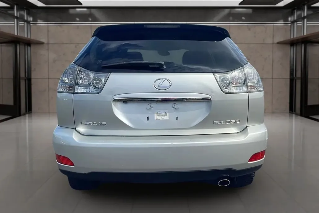 2007 Lexus RX 350 photo 1