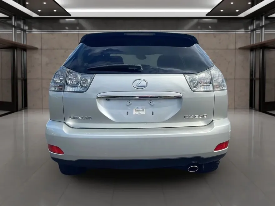 2007 Lexus RX 350 photo 1