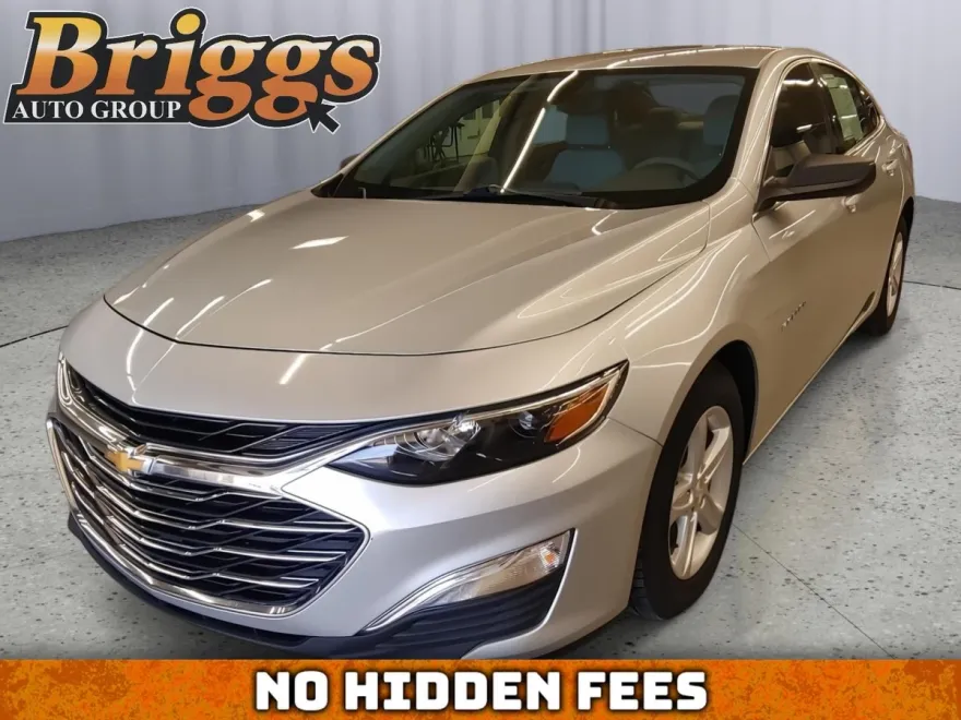 2020 Chevrolet Malibu LS photo 1
