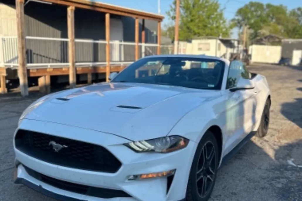 2021 Ford Mustang EcoBoost photo 1