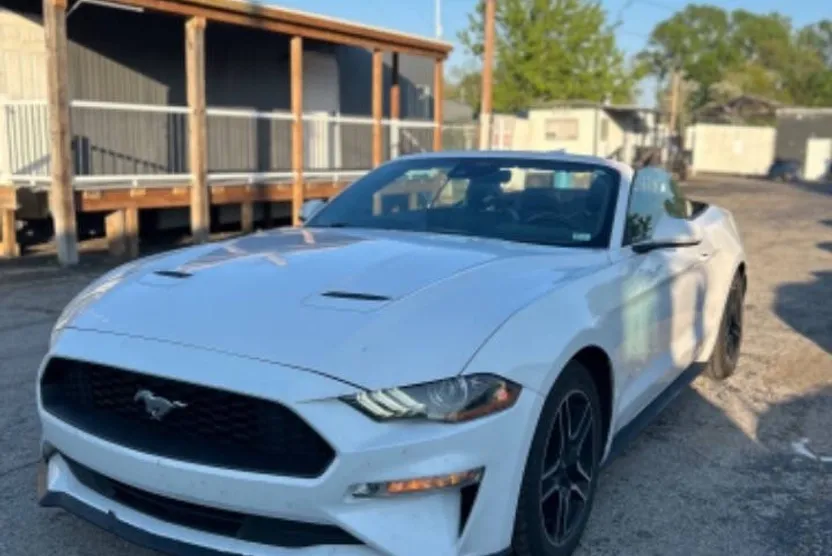 2021 Ford Mustang EcoBoost photo 1