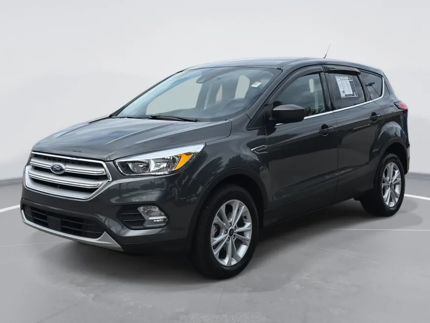 2019 Ford Escape SE photo 1