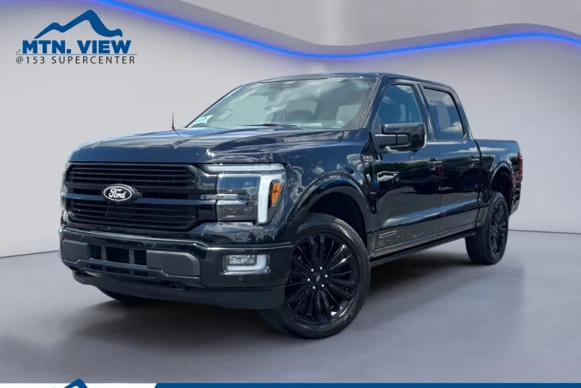 2024 Ford F-150 Platinum photo 1