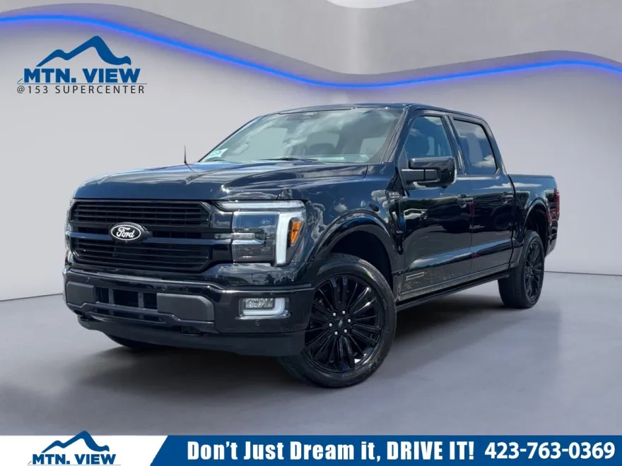 2024 Ford F-150 Platinum photo 1