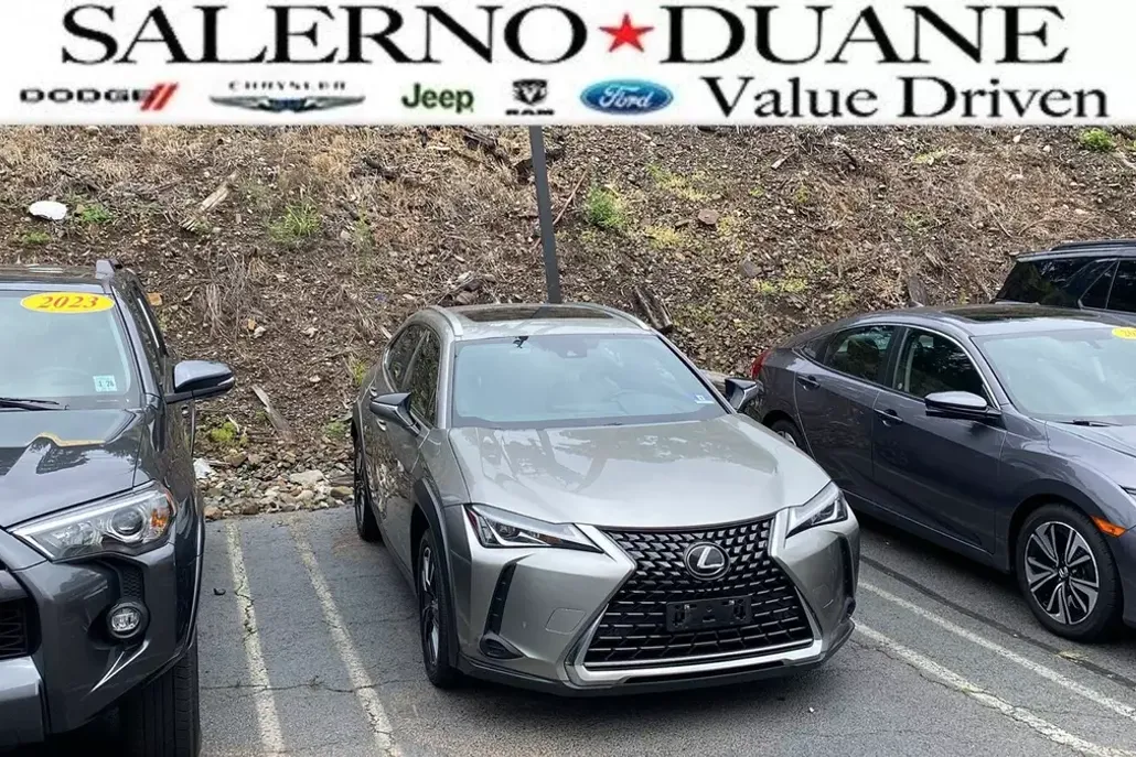 2019 Lexus UX 200 photo 1