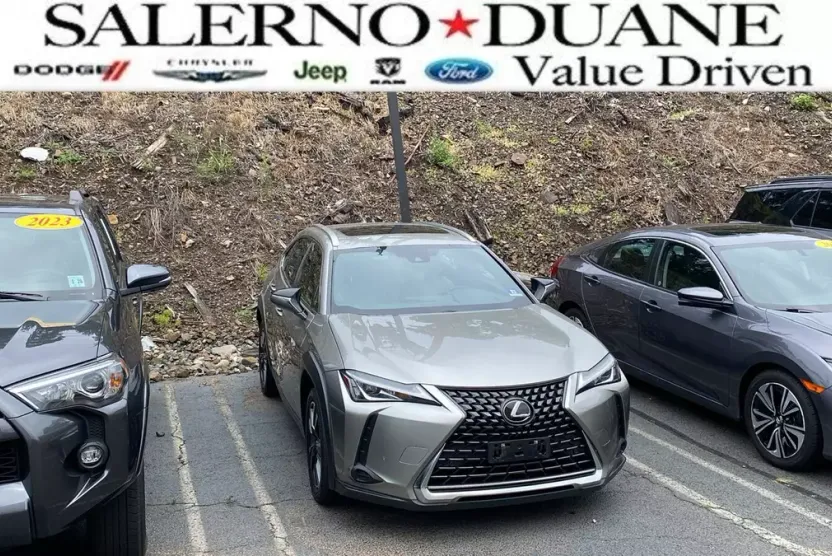 2019 Lexus UX 200 photo 1