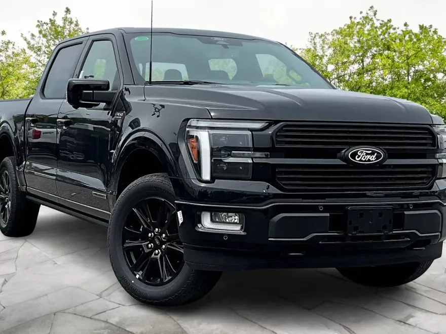 2025 Ford F-150 Platinum photo 1