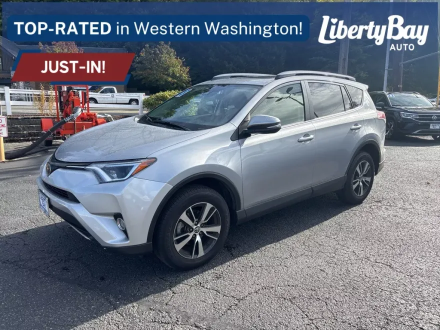 2018 Toyota RAV4 XLE photo 1