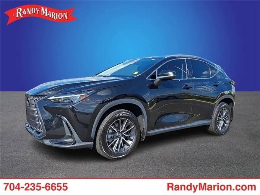 2022 Lexus NX 250 photo 1