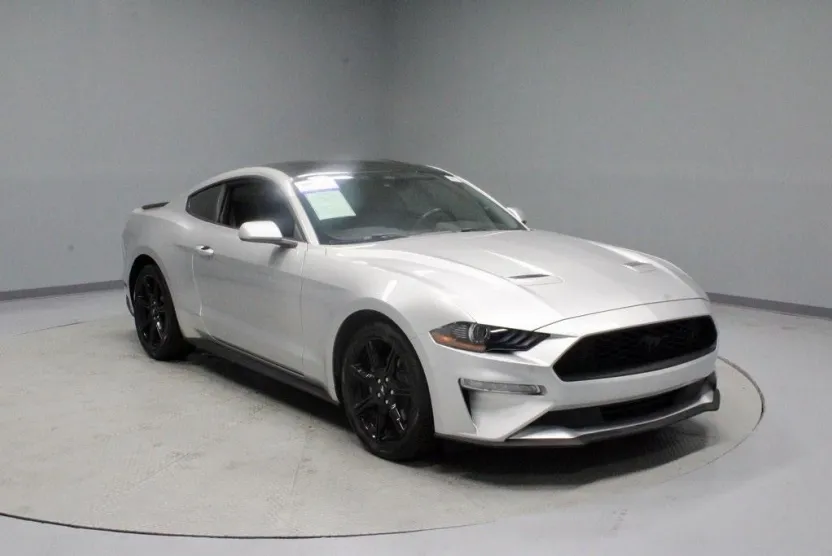 2019 Ford Mustang EcoBoost photo 1