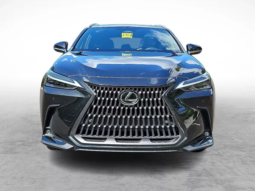 2023 Lexus NX 350 Luxury photo 1