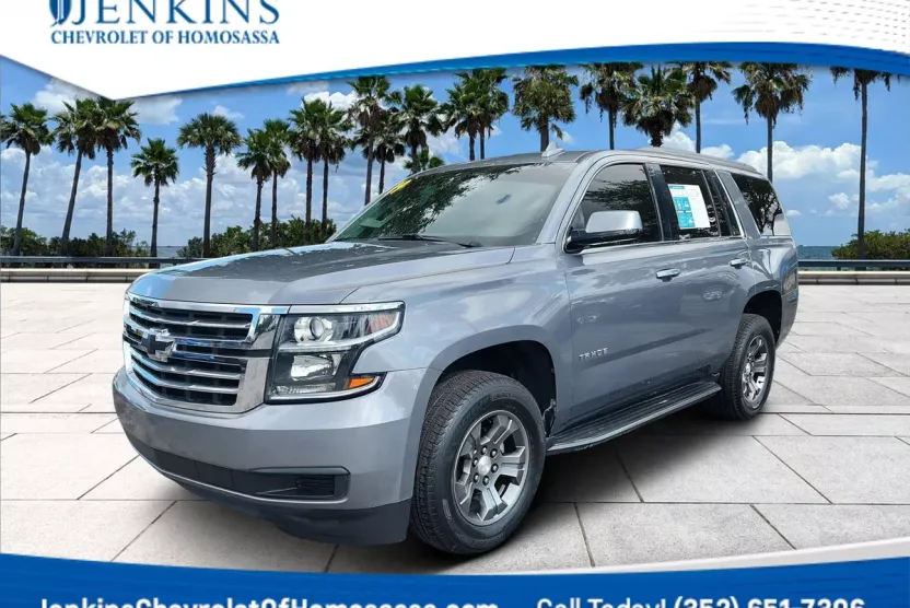 2019 Chevrolet Tahoe LS photo 1