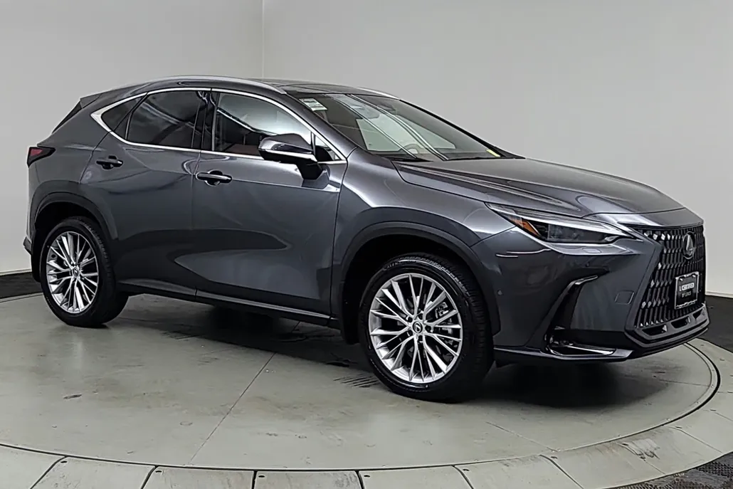 2025 Lexus NX 350h Luxury photo 1
