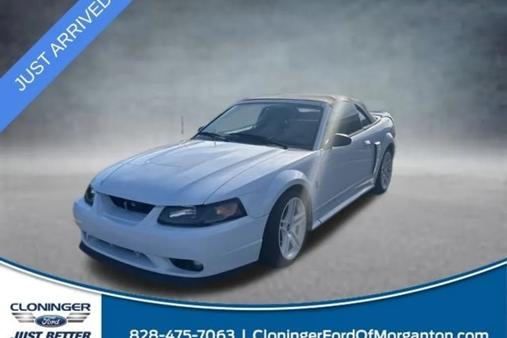 1999 Ford Mustang Cobra photo 1