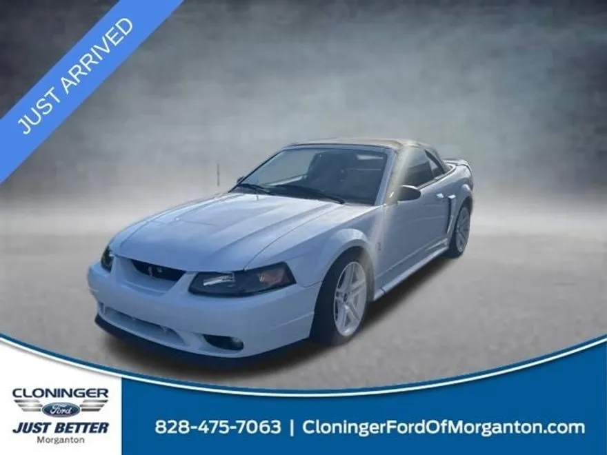1999 Ford Mustang Cobra photo 1