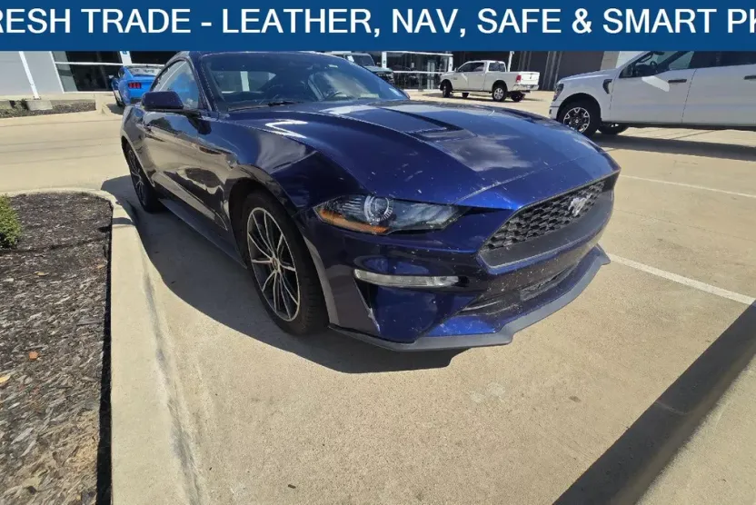 2019 Ford Mustang EcoBoost Premium photo 1