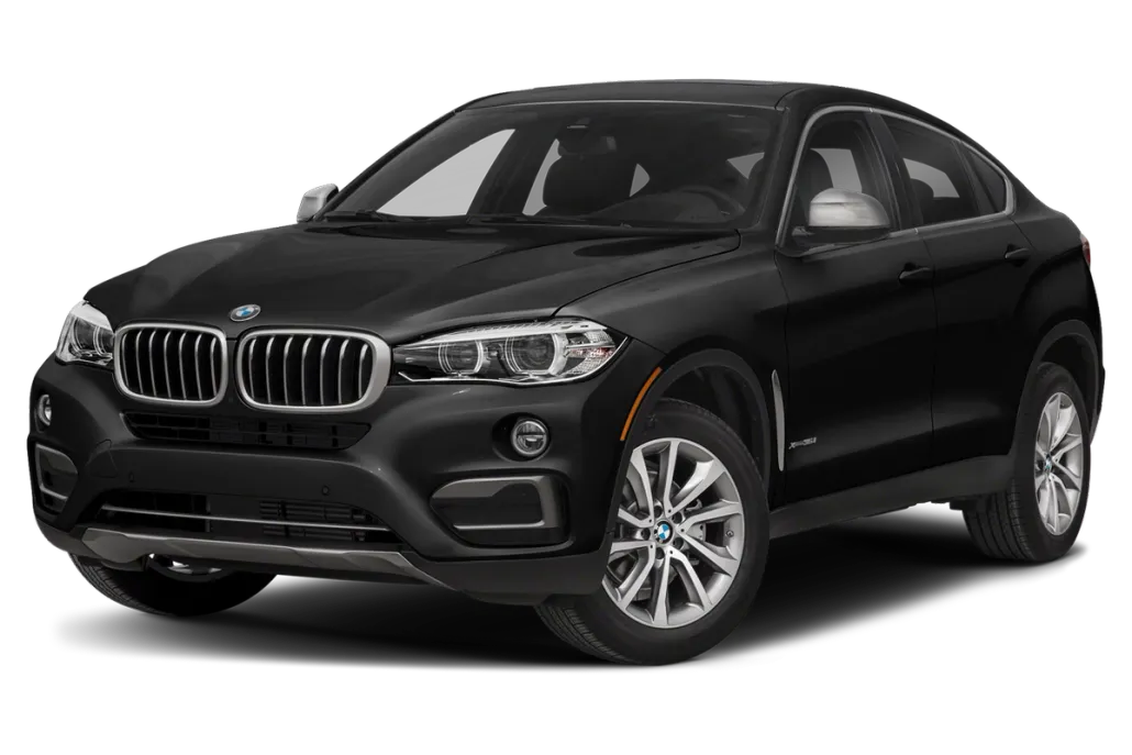 2019 Bmw X6 xDrive35i photo 1