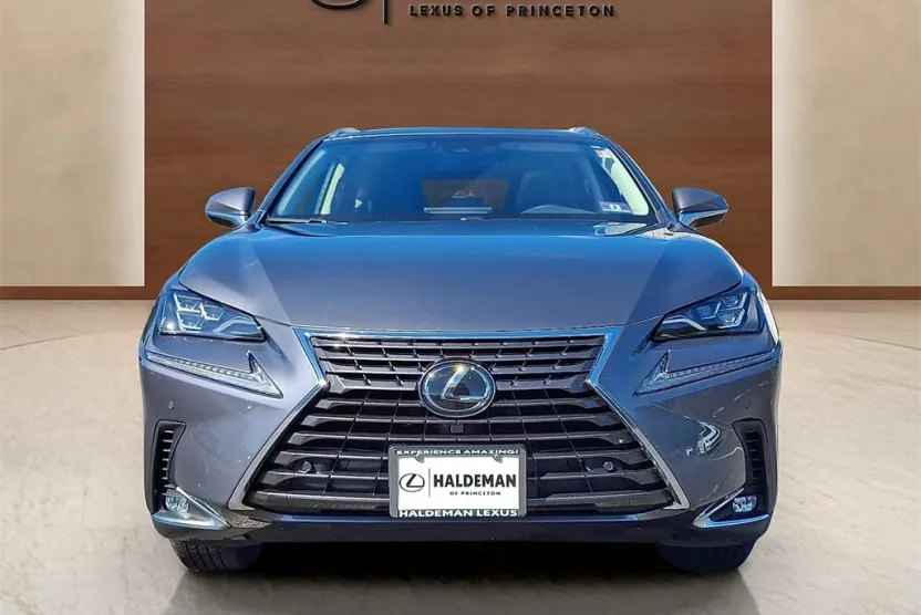 2019 Lexus NX 300 Luxury photo 1