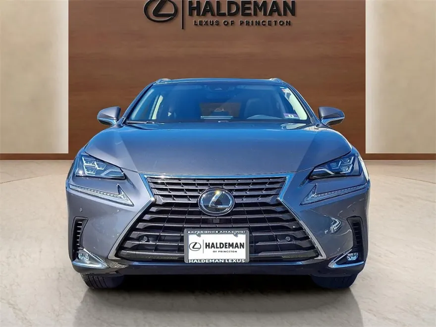 2019 Lexus NX 300 Luxury photo 1