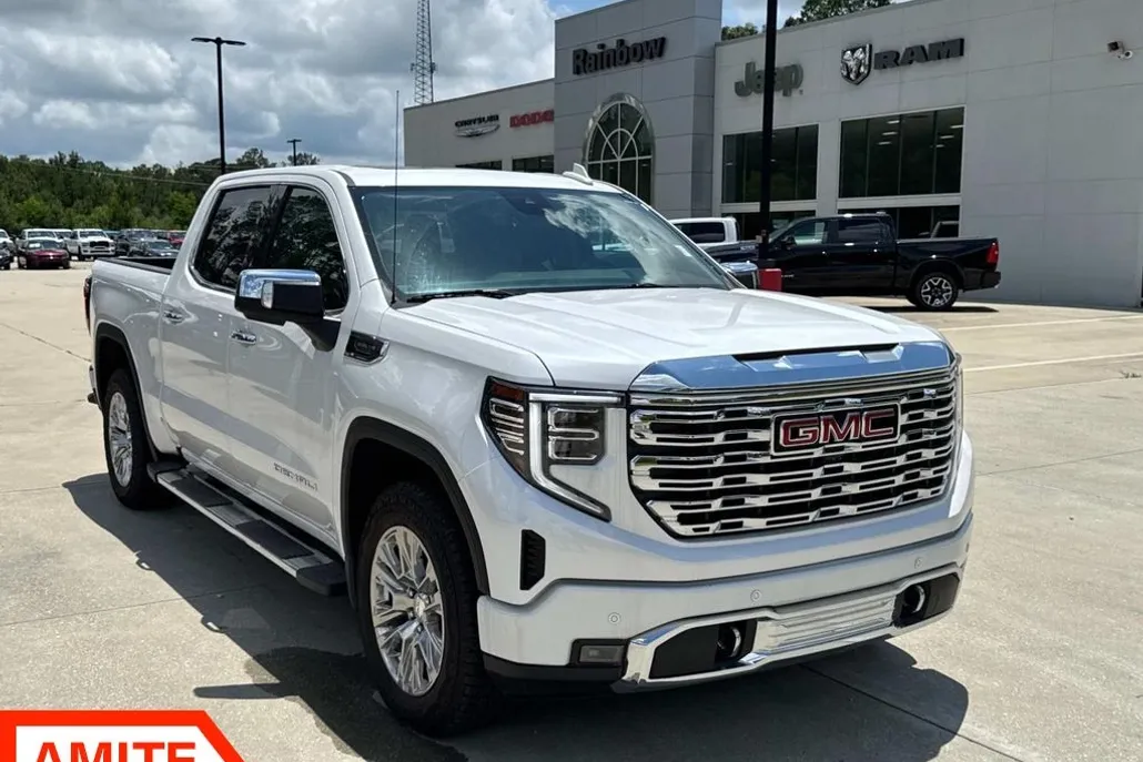 2024 Gmc Sierra 1500 Denali photo 1