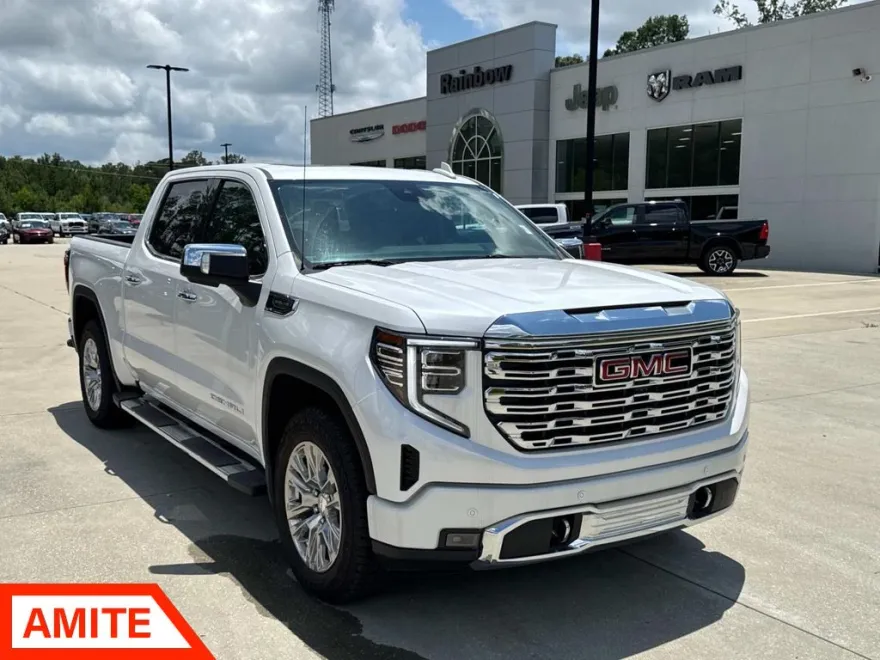 2024 Gmc Sierra 1500 Denali photo 1