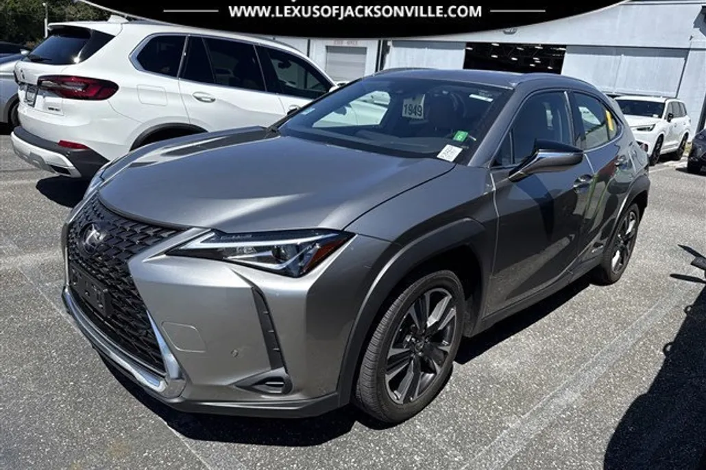 2019 Lexus UX 250h photo 1