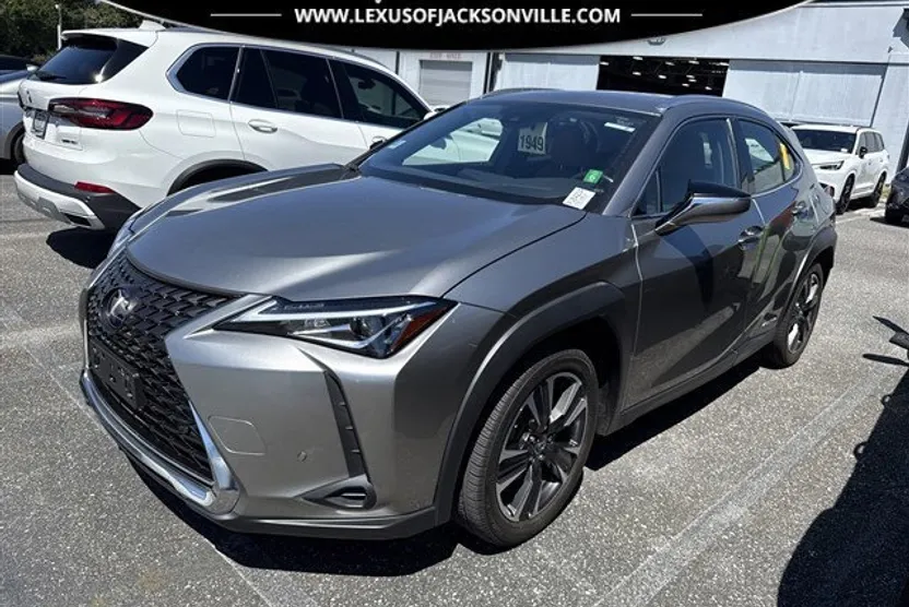 2019 Lexus UX 250h photo 1