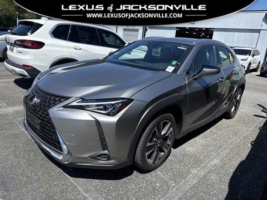 2019 Lexus UX 250h photo 1